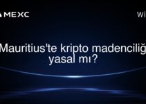 Mauritius’te kripto madenciliği yasal mı?