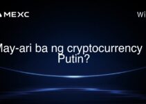 May-ari ba ng cryptocurrency si Putin?