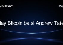 May Bitcoin ba si Andrew Tate?