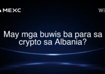 May mga buwis ba para sa crypto sa Albania?