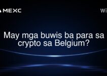 May mga buwis ba para sa crypto sa Belgium?