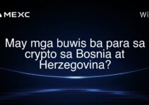 May mga buwis ba para sa crypto sa Bosnia at Herzegovina?