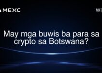 May mga buwis ba para sa crypto sa Botswana?