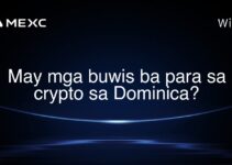 May mga buwis ba para sa crypto sa Dominica?