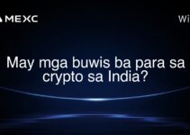 May mga buwis ba para sa crypto sa India?