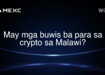 May mga buwis ba para sa crypto sa Malawi?
