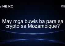 May mga buwis ba para sa crypto sa Mozambique?