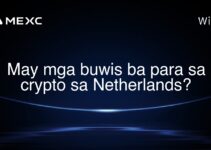 May mga buwis ba para sa crypto sa Netherlands?