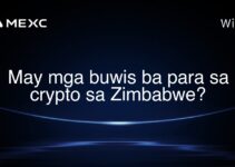 May mga buwis ba para sa crypto sa Zimbabwe?