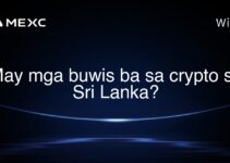 May mga buwis ba sa crypto sa Sri Lanka?
