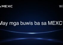 May mga buwis ba sa MEXC?