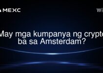 May mga kumpanya ng crypto ba sa Amsterdam?