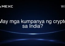 May mga kumpanya ng crypto sa India?