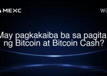 May pagkakaiba ba sa pagitan ng Bitcoin at Bitcoin Cash?