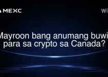 Mayroon bang anumang buwis para sa crypto sa Canada?