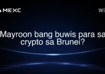 Mayroon bang buwis para sa crypto sa Brunei?