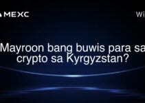 Mayroon bang buwis para sa crypto sa Kyrgyzstan?
