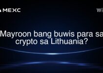 Mayroon bang buwis para sa crypto sa Lithuania?