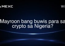 Mayroon bang buwis para sa crypto sa Nigeria?