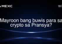 Mayroon bang buwis para sa crypto sa Pransya?
