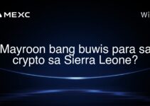 Mayroon bang buwis para sa crypto sa Sierra Leone?