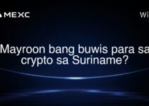 Mayroon bang buwis para sa crypto sa Suriname?