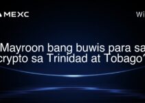 Mayroon bang buwis para sa crypto sa Trinidad at Tobago?