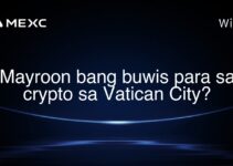 Mayroon bang buwis para sa crypto sa Vatican City?