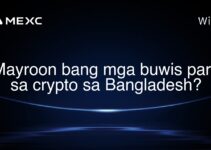 Mayroon bang mga buwis para sa crypto sa Bangladesh?