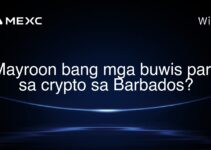 Mayroon bang mga buwis para sa crypto sa Barbados?