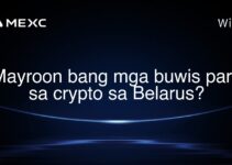 Mayroon bang mga buwis para sa crypto sa Belarus?