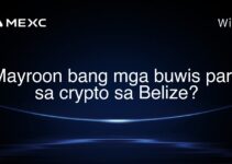 Mayroon bang mga buwis para sa crypto sa Belize?