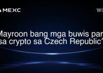 Mayroon bang mga buwis para sa crypto sa Czech Republic?