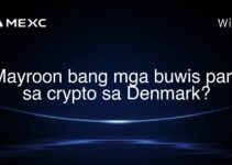 Mayroon bang mga buwis para sa crypto sa Denmark?