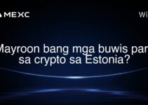 Mayroon bang mga buwis para sa crypto sa Estonia?
