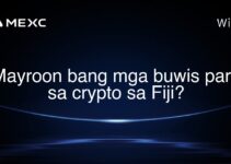 Mayroon bang mga buwis para sa crypto sa Fiji?