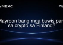 Mayroon bang mga buwis para sa crypto sa Finland?