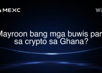 Mayroon bang mga buwis para sa crypto sa Ghana?