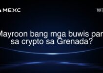 Mayroon bang mga buwis para sa crypto sa Grenada?