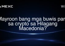 Mayroon bang mga buwis para sa crypto sa Hilagang Macedonia?