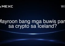 Mayroon bang mga buwis para sa crypto sa Iceland?