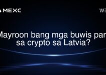 Mayroon bang mga buwis para sa crypto sa Latvia?