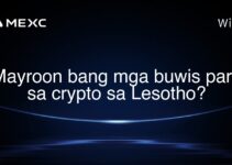 Mayroon bang mga buwis para sa crypto sa Lesotho?