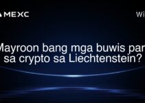 Mayroon bang mga buwis para sa crypto sa Liechtenstein?