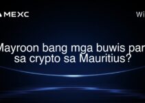Mayroon bang mga buwis para sa crypto sa Mauritius?