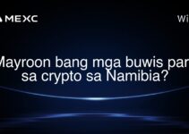 Mayroon bang mga buwis para sa crypto sa Namibia?