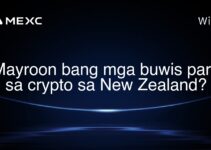 Mayroon bang mga buwis para sa crypto sa New Zealand?