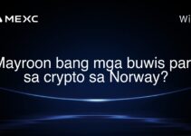 Mayroon bang mga buwis para sa crypto sa Norway?
