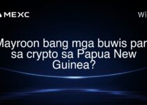 Mayroon bang mga buwis para sa crypto sa Papua New Guinea?