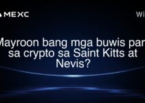 Mayroon bang mga buwis para sa crypto sa Saint Kitts at Nevis?
